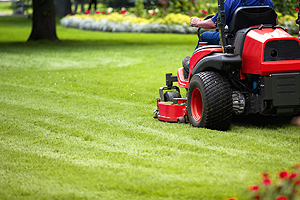 kertgondoz�s Balatonm�riaf�rd�